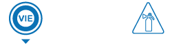 logo v.i.e